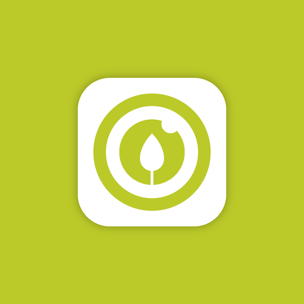 Zenobee — visuel 3, Djan Studio